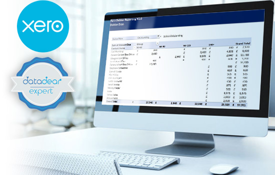 Xero Profit and Loss template on a desktop computer